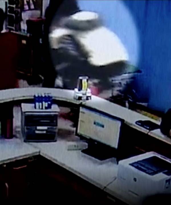 زنده شدن عجیب این زن جوان بعد از 72 ساعت (عکس) زنده شدن عجیب این زن جوان بعد از 72 ساعت (عکس)