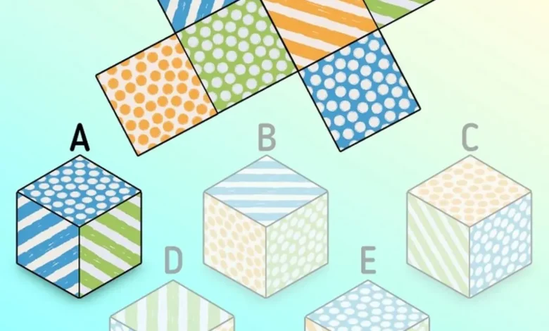 بازی فکری؛ اگه افاده میای که تیز هوشی بگو کدام مکعب با این شکل تشکیل نشده است؟