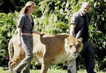 حیوانی که تا بحال وجود نداشته!؟ (+عکس) حیوانی که تا بحال وجود نداشته!؟ (+عکس)