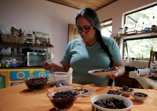 خانوادهای خوردن سوسک و جیرجیرک را جایگزین گوشت کرد (تصاویر) خانوادهای خوردن سوسک و جیرجیرک را جایگزین گوشت کرد (تصاویر)