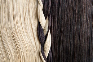 تاریخ و زمان وبگردی؛ موی انسان میتواند وزن ۲ فیل را تحمل کند! تاریخ و زمان وبگردی؛ موی انسان میتواند وزن ۲ فیل را تحمل کند!