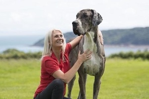 تاریخ و زمان وبگردی؛ این زن جوان صاحب غول پیکرترین سگ دنیا است (عکس) تاریخ و زمان وبگردی؛ این زن جوان صاحب غول پیکرترین سگ دنیا است (عکس)