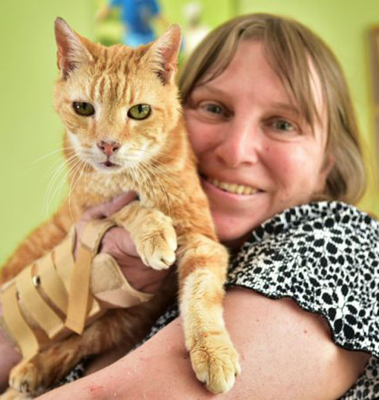 با پیر ترین گربه دنیا آشنا شوید + عکس با پیر ترین گربه دنیا آشنا شوید + عکس