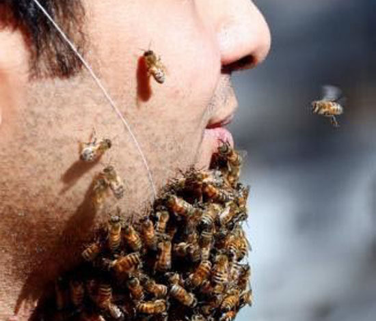 خبر جدید | مردی که صورتش را تبدیل به خانه ای برای زنبور های عسل کرد + عکس خبر جدید | مردی که صورتش را تبدیل به خانه ای برای زنبور های عسل کرد + عکس