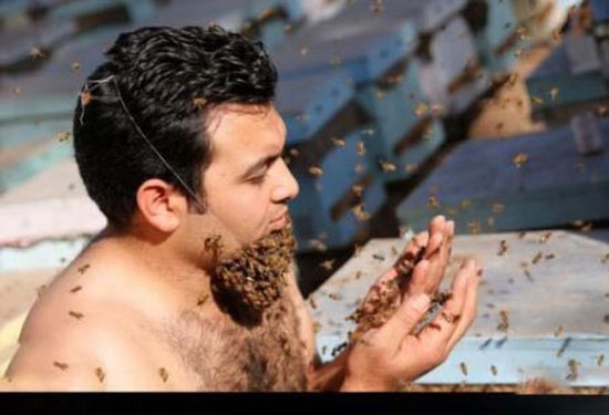 مردی که صورتش را تبدیل به خانه ای برای زنبور های عسل کرد + عکس مردی که صورتش را تبدیل به خانه ای برای زنبور های عسل کرد + عکس