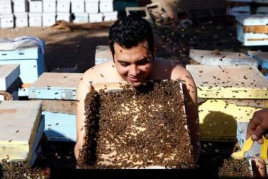 مردی که صورتش را تبدیل به خانه ای برای زنبور های عسل کرد + عکس مردی که صورتش را تبدیل به خانه ای برای زنبور های عسل کرد + عکس