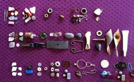 پرنده ها برای این دختر غذا هدیه می آورند + عکس