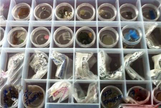 پرنده ها برای این دختر غذا هدیه می آورند + عکس