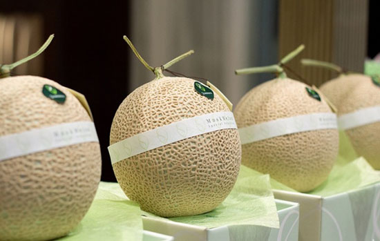 میوه های گران قیمت و لاکچری که از طلا هم گران تر است + عکس میوه های گران قیمت و لاکچری که از طلا هم گران تر است + عکس