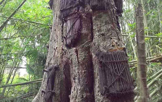 قبرهای عجیب و غریب در جهان و داستان های اسرار آمیز هرکدام + عکس قبرهای عجیب و غریب در جهان و داستان های اسرار آمیز هرکدام + عکس