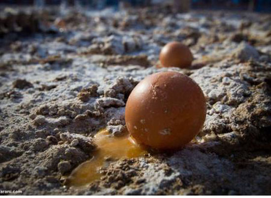 جشنواره جالب و دیدنی جنگ خونین با تخم مرغ در اسپانیا + عکس جشنواره جالب و دیدنی جنگ خونین با تخم مرغ در اسپانیا + عکس