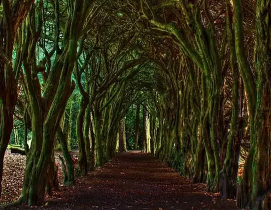 عکس هایی از اسرار آمیزترین مناطق دنیا (+توضیحات) عکس هایی از اسرار آمیزترین مناطق دنیا (+توضیحات)