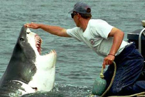 تاریخ و زمان وبگردی؛ عشق عجیب کوسه ماده به یک مرد ماهیگیر! +عکس تاریخ و زمان وبگردی؛ عشق عجیب کوسه ماده به یک مرد ماهیگیر! +عکس