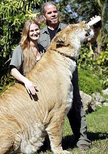 حیوانی که تا بحال وجود نداشته!؟ (+عکس) حیوانی که تا بحال وجود نداشته!؟ (+عکس)