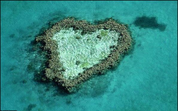 زیبا ترین قلب زمین !