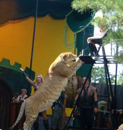 حیوانی که تا بحال وجود نداشته!؟ (+عکس) حیوانی که تا بحال وجود نداشته!؟ (+عکس)