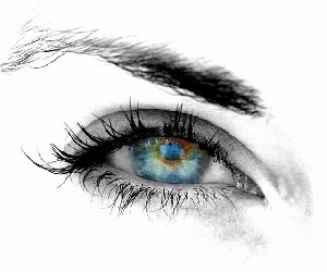 تاریخ و زمان وبگردی؛ مطلبی در مورد « زبان چشم » ! تاریخ و زمان وبگردی؛ مطلبی در مورد « زبان چشم » !