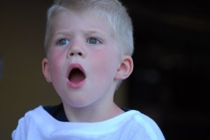 نگاه روز | کوچک ترین اسب جهان با 3 کیلو وزن!!