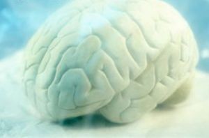 تاریخ و زمان وبگردی؛ کلید طول عمر بالا پیدا شد !!