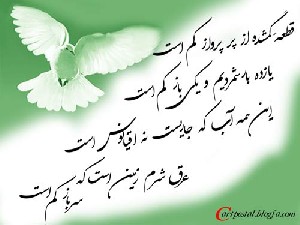 تاریخ و زمان وبگردی؛ نوشته‎ای کوتاه و در عین حال جذاب