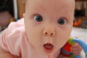 تاریخ و زمان وبگردی؛ بز و گوسفندی كه راهنمای یک اسب نابینا هستند !!! تاریخ و زمان وبگردی؛ بز و گوسفندی كه راهنمای یک اسب نابینا هستند !!!