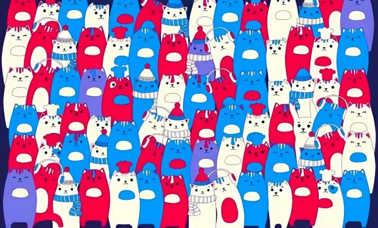 بازی فکری ؛ خرگوش بین گربه هارو خلبان هام بزور میتونن پیدا کنن؛ پیدا کنی شاهینی بازی فکری ؛ خرگوش بین گربه هارو خلبان هام بزور میتونن پیدا کنن؛ پیدا کنی شاهینی