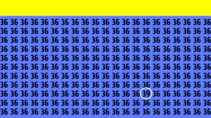 بازی فکری؛ فقط 2 درصد آدما از 100 نفر تونستن تو 7 ثانیه عدد 39 رو بین 36 ها پیدا کنن بازی فکری؛ فقط 2 درصد آدما از 100 نفر تونستن تو 7 ثانیه عدد 39 رو بین 36 ها پیدا کنن