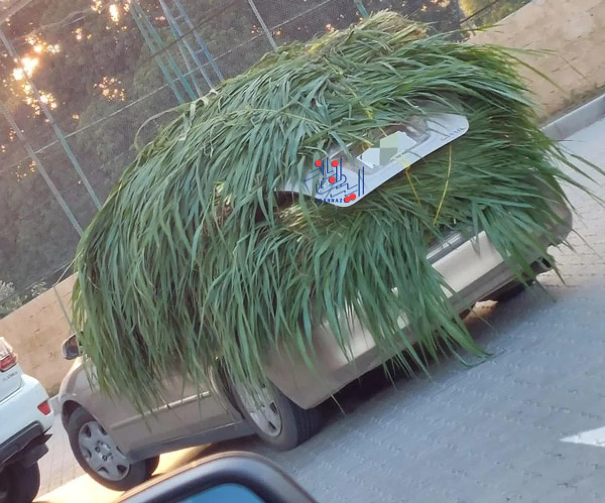 در این عکس چه اتفاقی افتاده؟