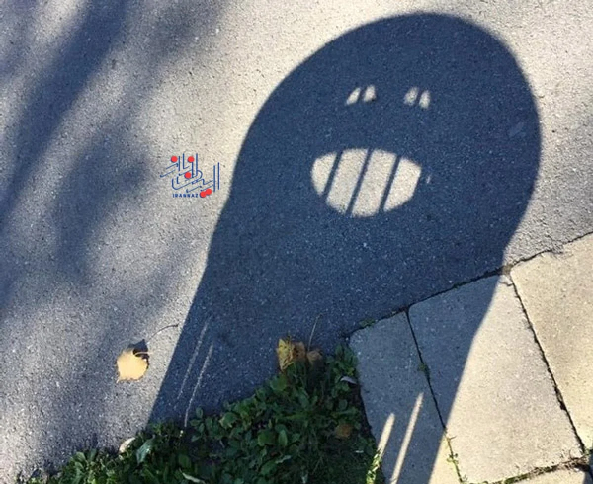 این عکس چه چیزی است؟