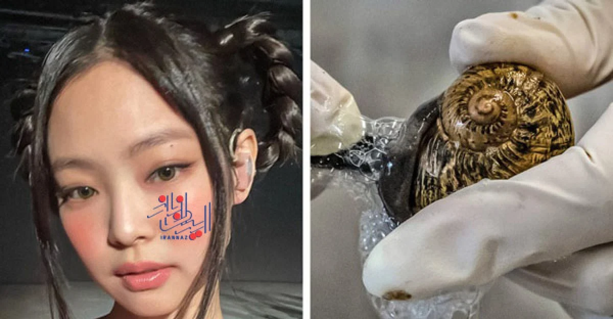 زنان کُره ای از ترشحات حلزون برای داشتن پوستی لطیف استفاده می کنند