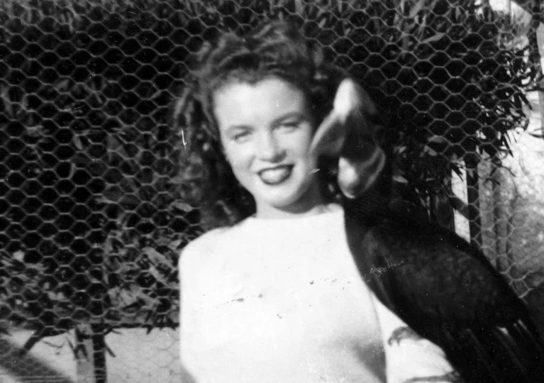 قاب روز | عکس مرلین مونرو در 15 سالگی و با یک پرنده نوک شاخ سال 1320 قاب روز | عکس مرلین مونرو در 15 سالگی و با یک پرنده نوک شاخ سال 1320