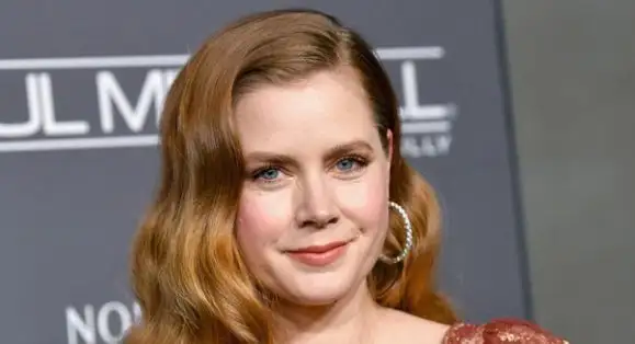 تاریخ وبگردی | تصاویر شخصی، زندگی خصوصی امی آدامز و بیوگرافی تاریخ وبگردی | تصاویر شخصی، زندگی خصوصی امی آدامز و بیوگرافی