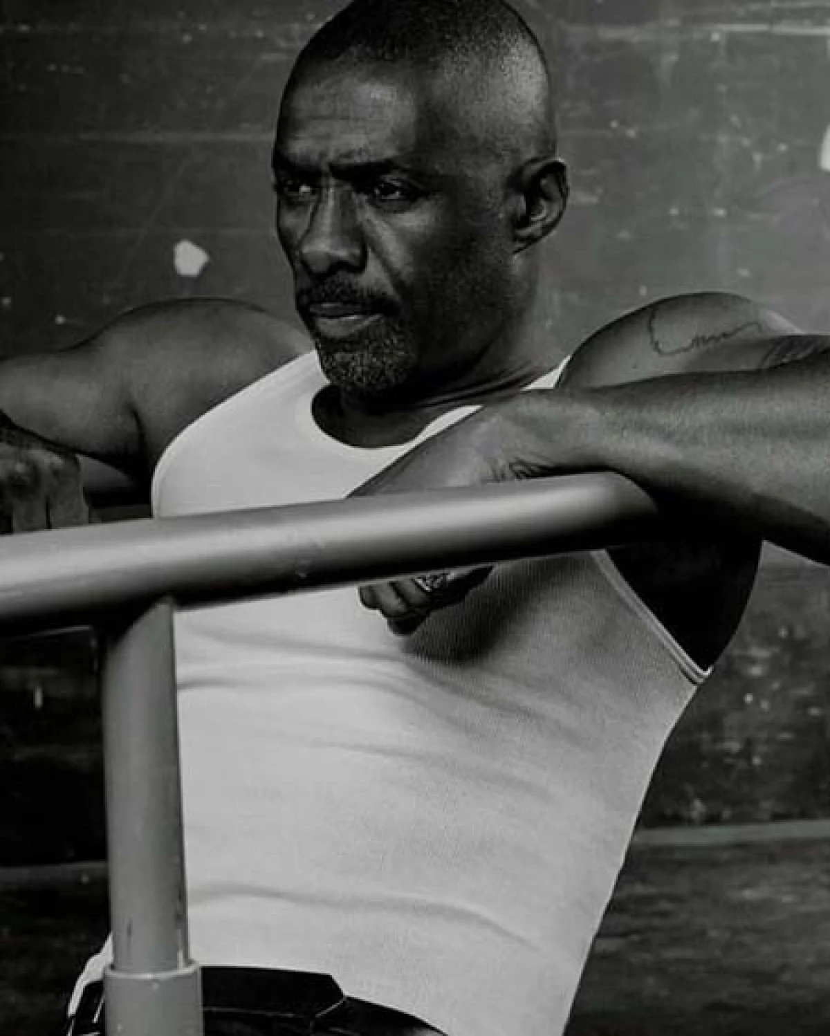 بیوگرافی، عکس های شخصی و زندگی خصوصی ادریس آلبا تاریخ وبگردی |بیوگرافی، عکس های شخصی و زندگی خصوصی ادریس آلبا