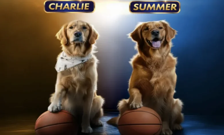 قاب روز | سگهای فیلم Air Bud Returns از میان ۵۰۰۰ سگ انتخاب شدند قاب روز | سگهای فیلم Air Bud Returns از میان ۵۰۰۰ سگ انتخاب شدند
