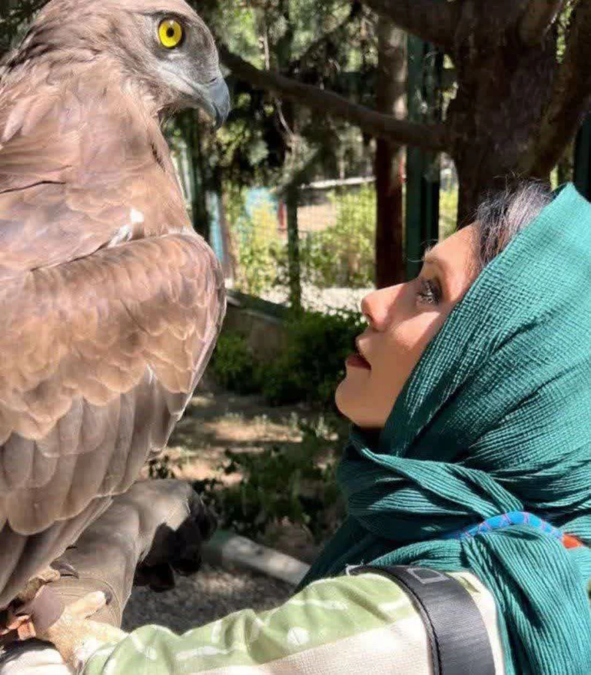 نگاه روز | شهرزاد کمال زاده در کنار پرنده ای عظیم الجثه