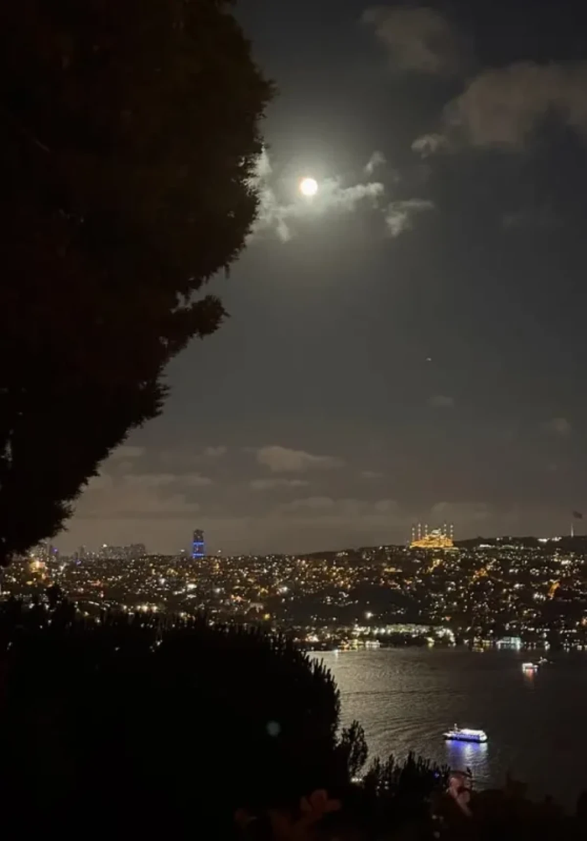 Screenshot 2025 10 08 120655