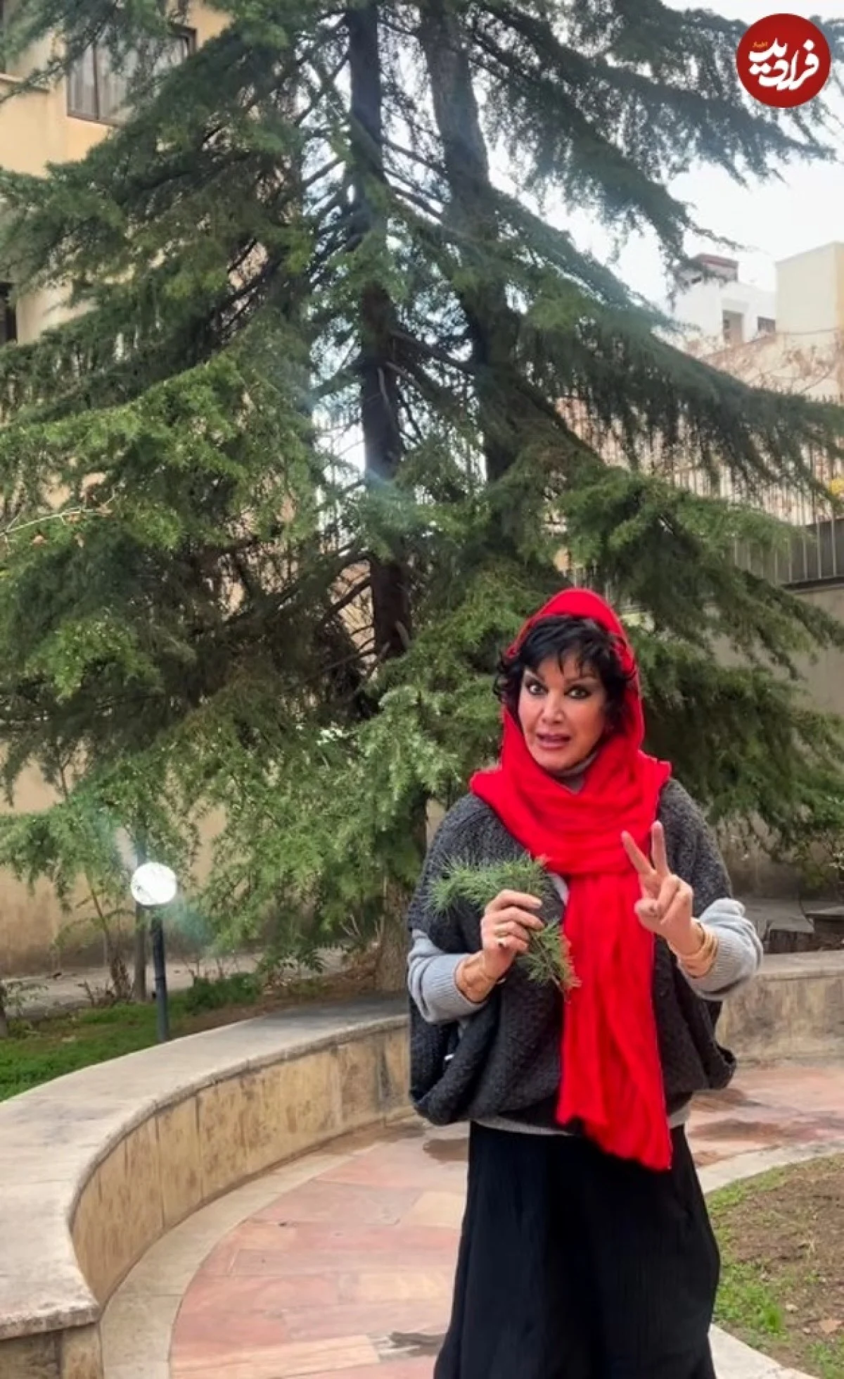 تغییر چهره «مادر علی کوچولو» بعد 39 سال در 75 سالگی Screenshot2024 12 08123418