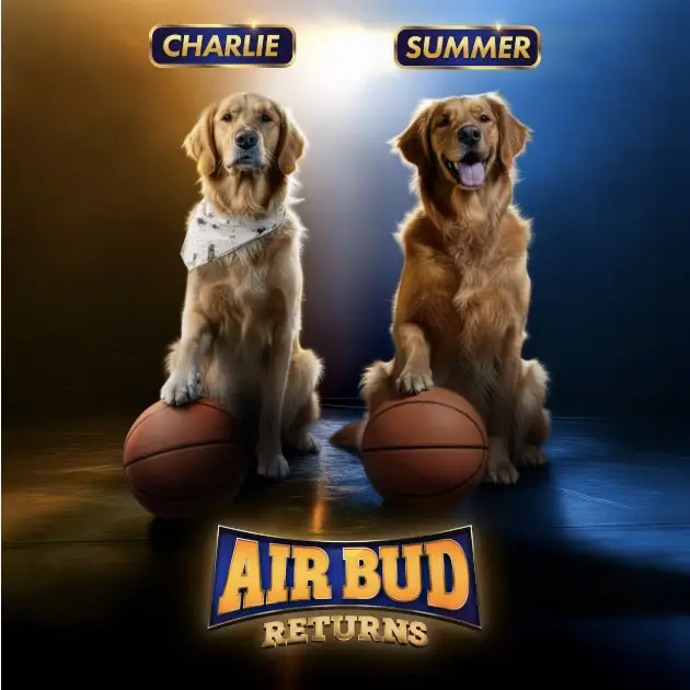 قاب روز | سگهای فیلم Air Bud Returns از میان ۵۰۰۰ سگ انتخاب شدند قاب روز | سگهای فیلم Air Bud Returns از میان ۵۰۰۰ سگ انتخاب شدند