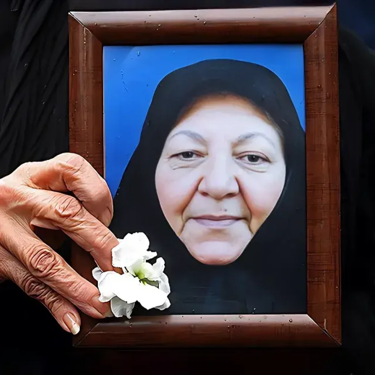 behtarin tbsm photokade com 5