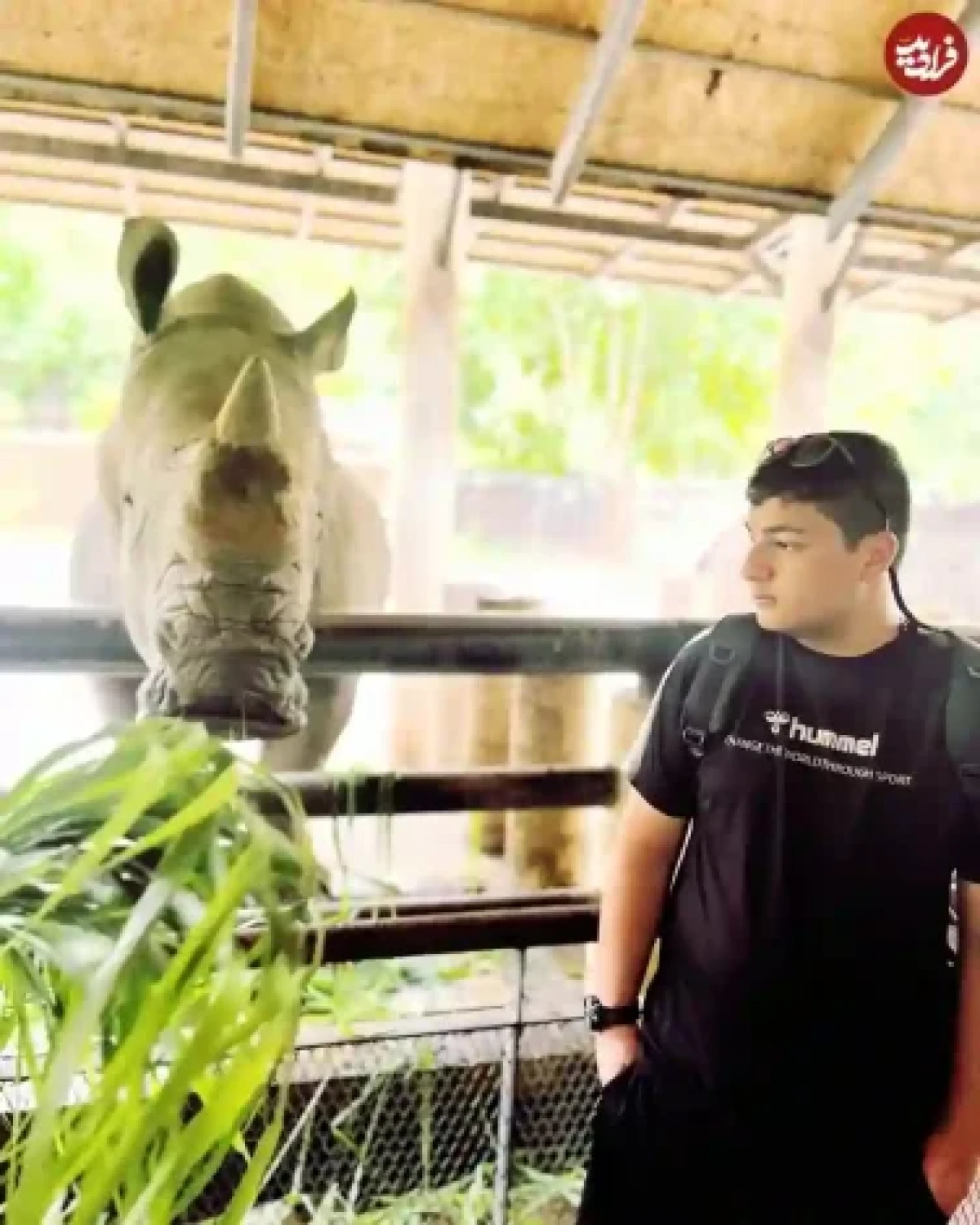 چهره محمدرضا شیرخانلو نقش «پوریا» سریال دودکش mohammadrezashirkhanloo 1696773280 3209089327157005906 2307823399