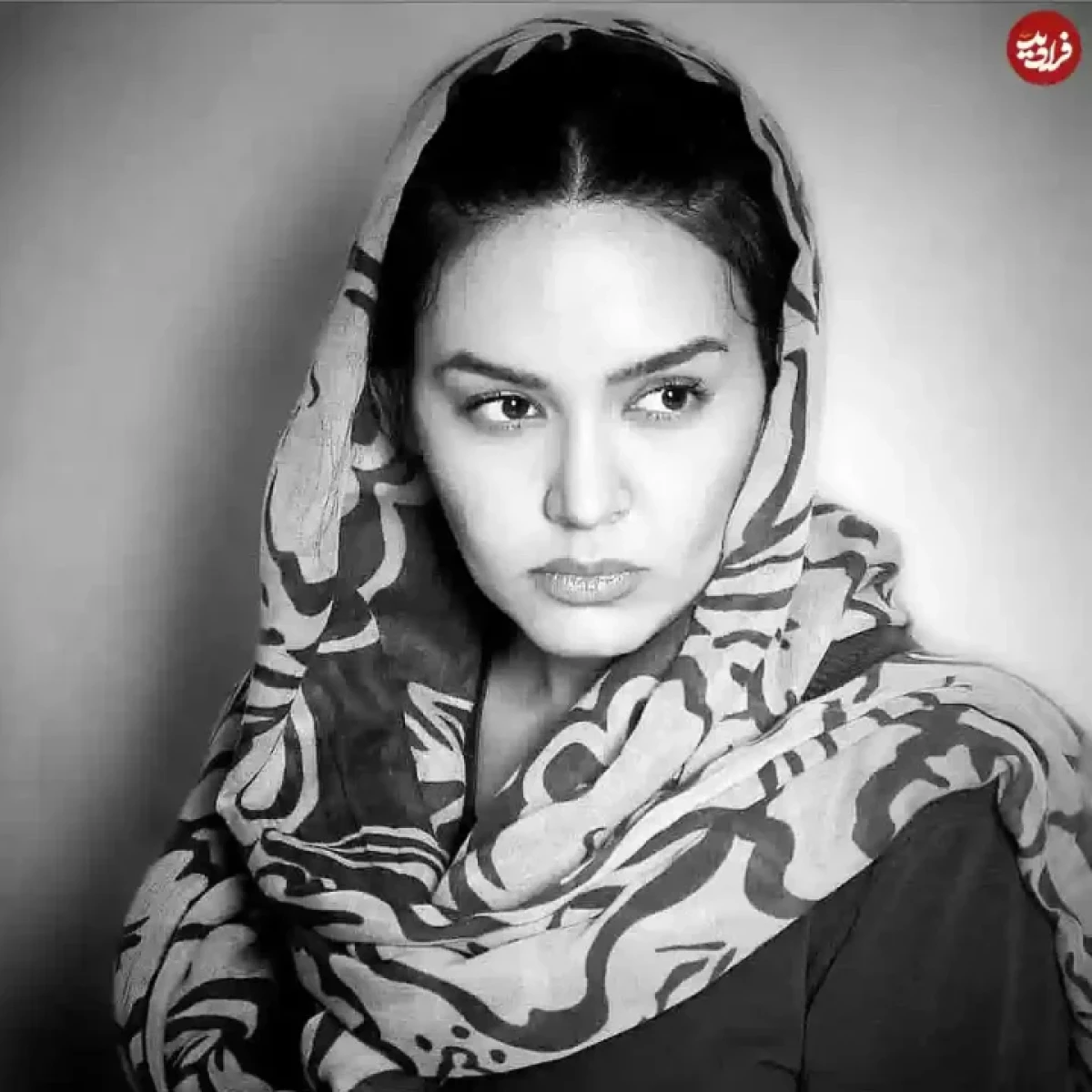 nedaghasemiofficial 1731027039 3496430679814580008 1536762453