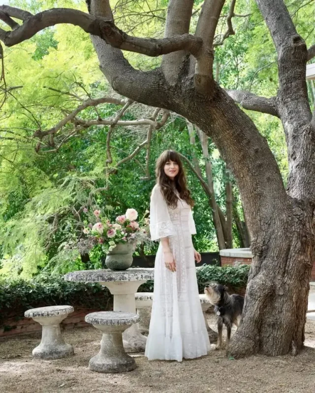 عکس؛ چهره ها در زمان و تاریخ | عکس جذاب داکوتا جانسون مشهورترین سلبریتی هالیوود در ویلایی لاکچری عکس؛ چهره ها در زمان و تاریخ | عکس جذاب داکوتا جانسون مشهورترین سلبریتی هالیوود در ویلایی لاکچری