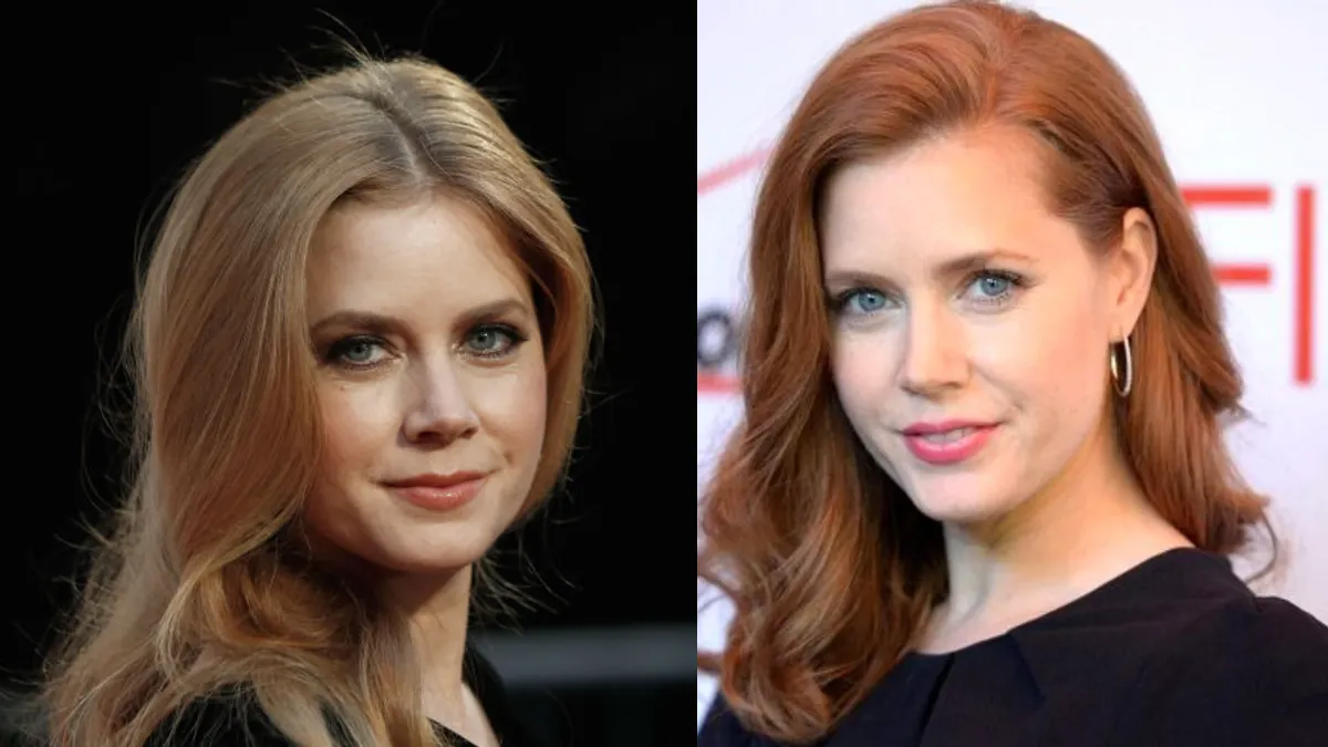 تصاویر تازه | تصاویر شخصی، زندگی خصوصی امی آدامز و بیوگرافی 