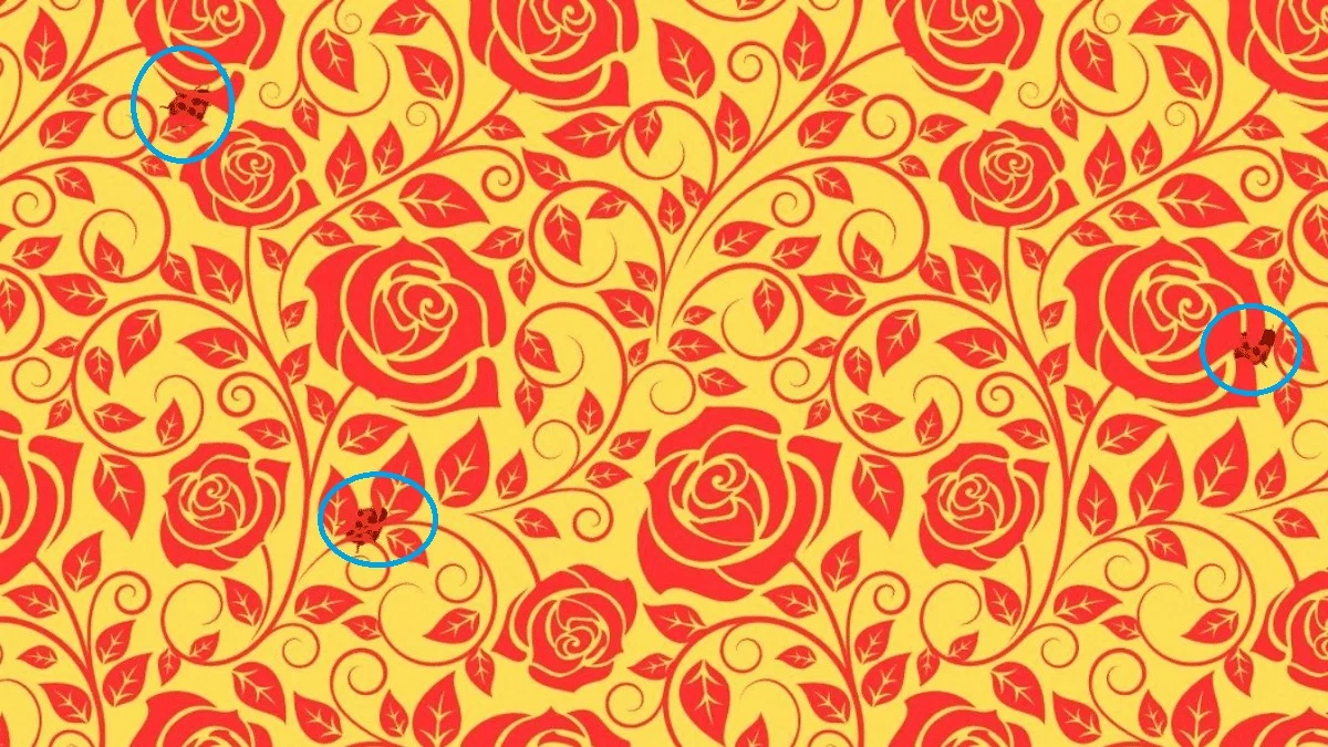 www-bedinsan-ir-2025-12-14_18-57-43_072010 پاسخ تست بینایی ۳ کفشدوزک در میان گلهای رز