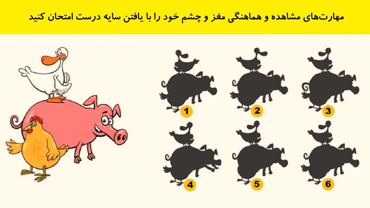 www-bedinsan-ir-2025-12-19_00-41-31_966041 تست هوش یافتن سایه درست