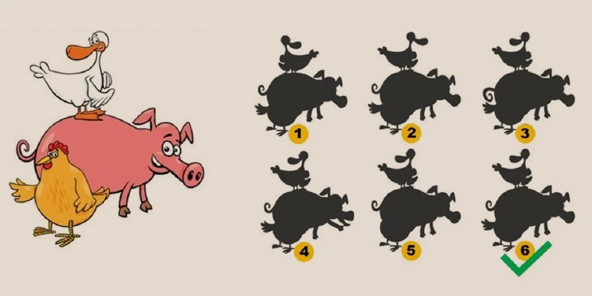 www-bedinsan-ir-2025-12-19_00-41-32_269201 پاسخ تست هوش یافتن سایه درست