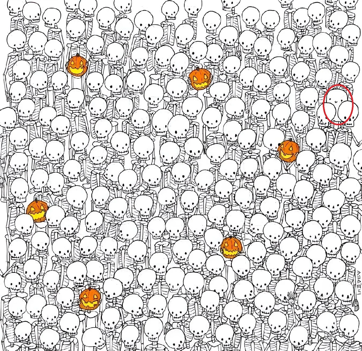 www-bedinsan-ir-2025-12-19_00-43-09_488569 پاسخ تست بینایی یافتن روح میان اسکلت ها