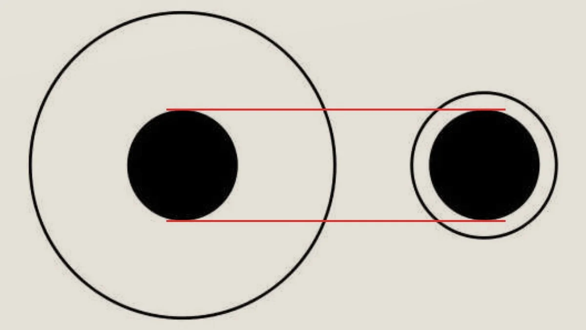 www-bedinsan-ir-2025-12-19_19-48-59_293726 پاسخ تست هوش دایره سیاه بزرگتر