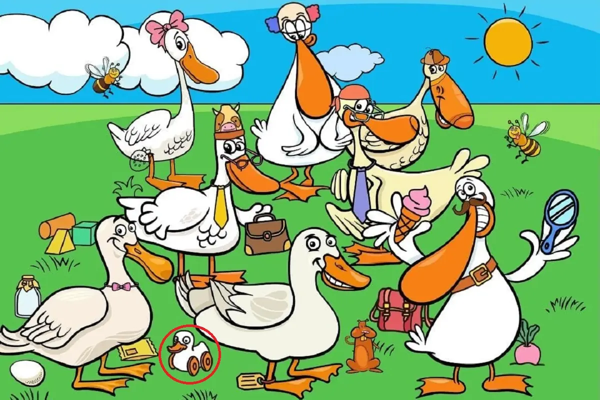 پاسخ-تست-بینایی-یافتن-اردک-اسباب-بازی-بین-اردکها