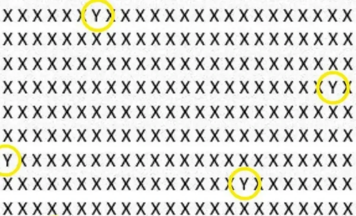 IMG_20250718_132743_edit_1199433345146658